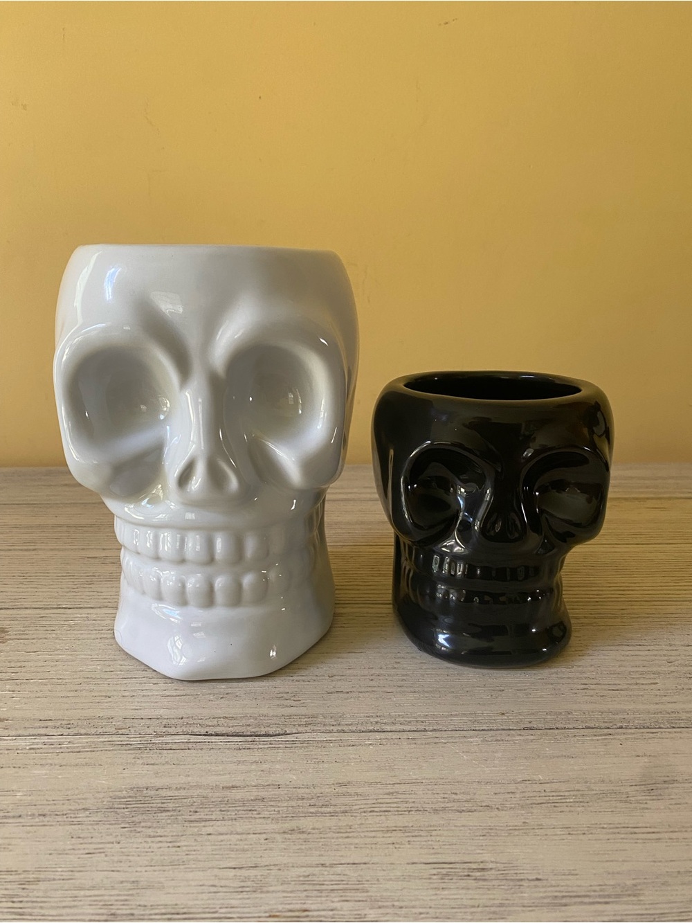 Ceramic Skull Planter/Vase - White and Black